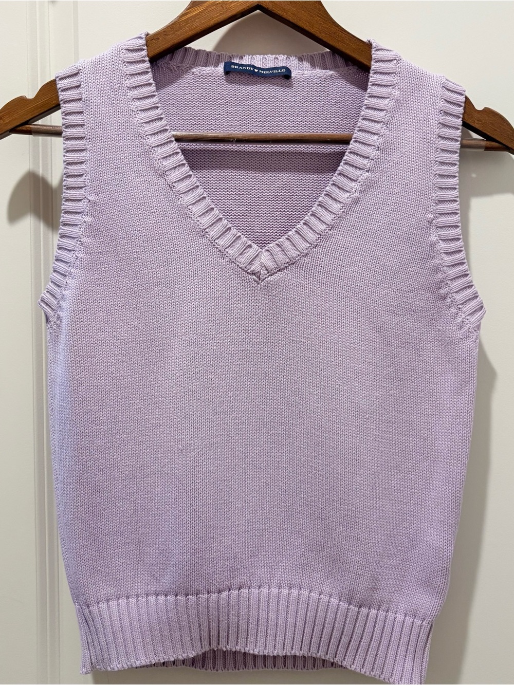 Brandy Melville Lilac Cotton Knit V-Neck Sweater Vest